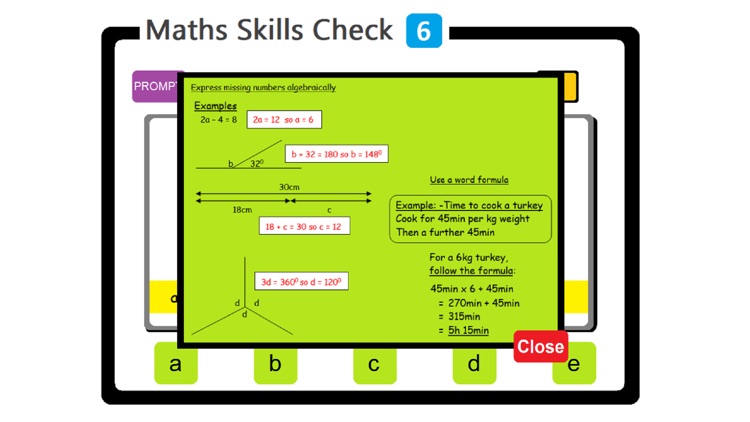 PAM Maths Skills Check 3 screenshot-3