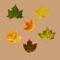 Icon Leaf Drop