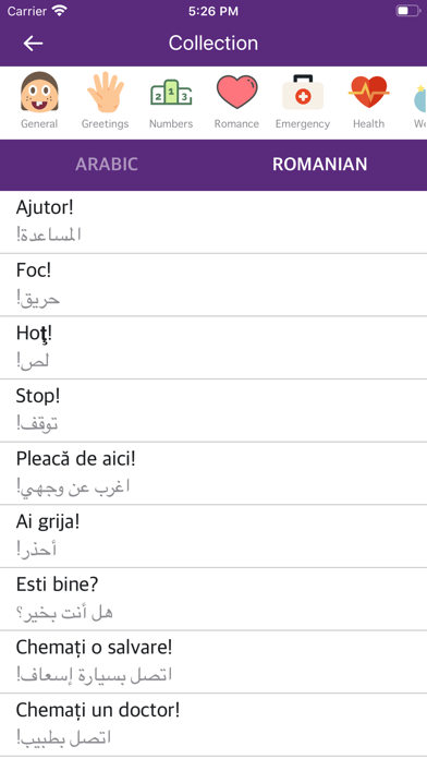 Arabic Romanian Dictionary screenshot 2