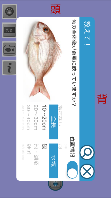 教えて!魚のおすすめ画像4