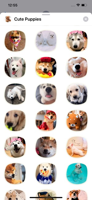 Cute Puppies Sticker Pack(圖2)-速報App