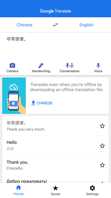 Google Translate Screenshot 2