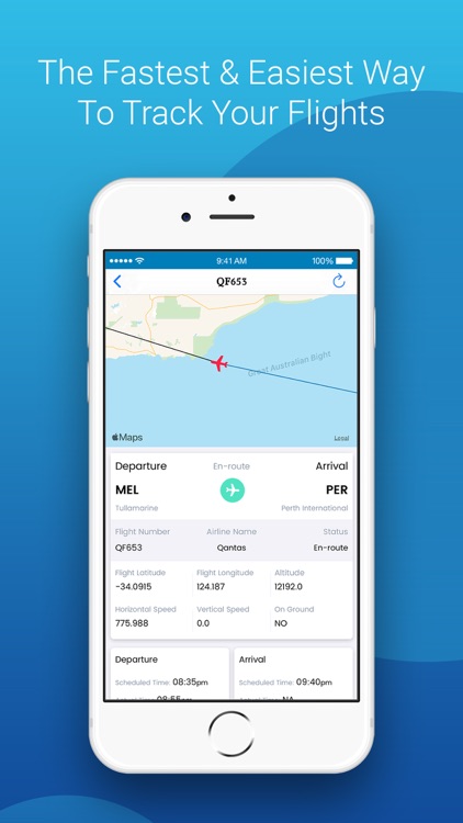 The Airline Reviewer