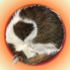 猫珠-ねこタマ- ３Dアクション - iPhoneアプリ
