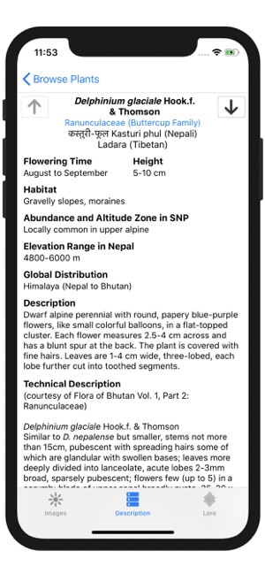 Wildflowers of Mount Everest(圖4)-速報App