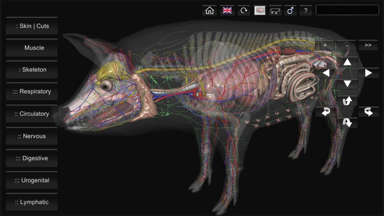 3D Pig Anatomy screenshot-3