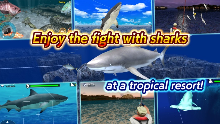 Wild Shark Fishing screenshot-3