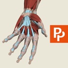 Top 32 Medical Apps Like Forearm & Hand: 3D Real-time - Best Alternatives