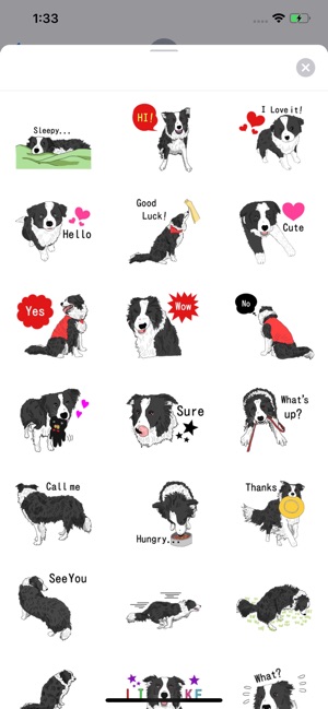 Border Collie Dog Icon Sticker(圖2)-速報App