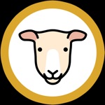 ذبائح جازان
