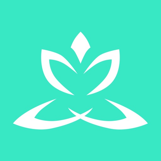 Zen Timer Pro