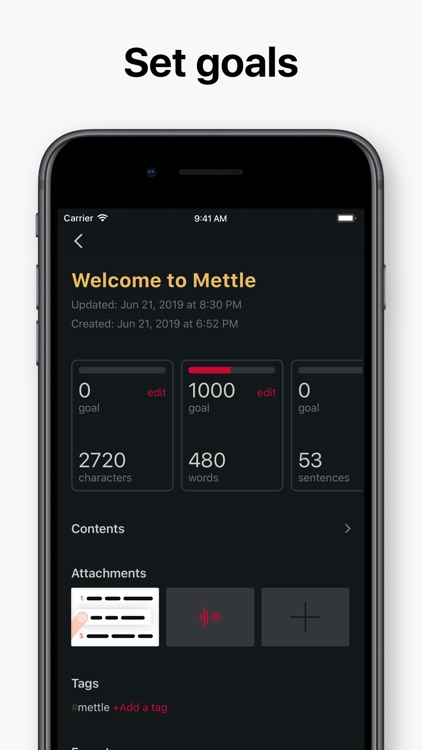 Mettle Pro screenshot-5