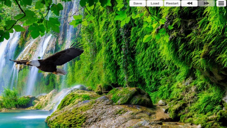 Hidden Dolphins screenshot-4