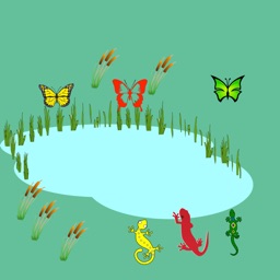 Lizards and butterflies