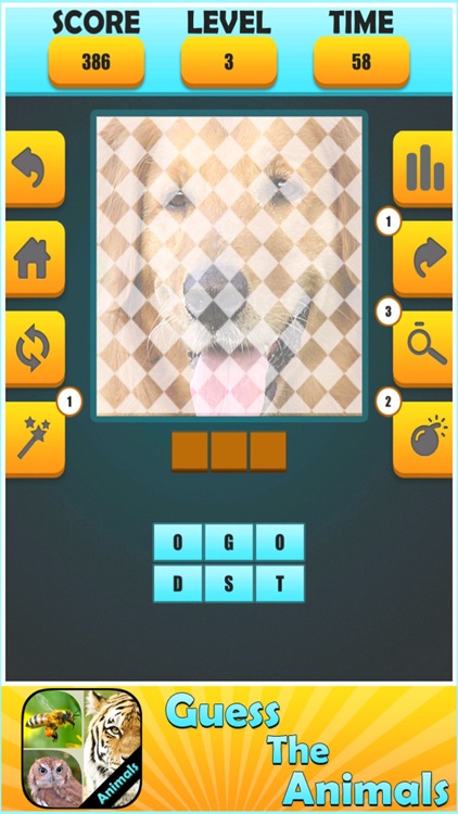 Guess Animal : Family Puzzle