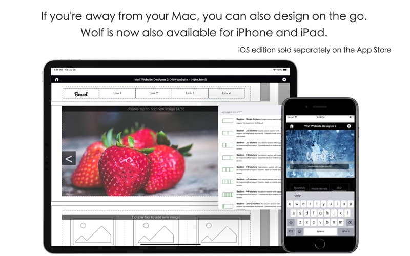 Wolf_Website_Designer_2.app caprure 2 2_Wolf_Website_Designer_2.jpg