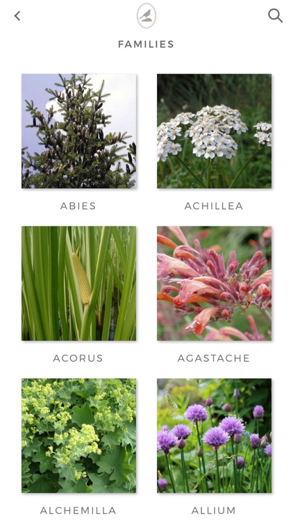 Fieldstone Guide: Herbs