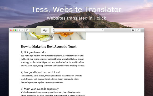 Tess - Website Translator