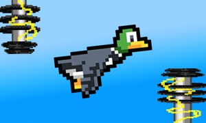 Zappy Duck