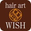 hair art WISH