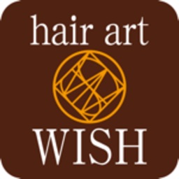 hair art WISH