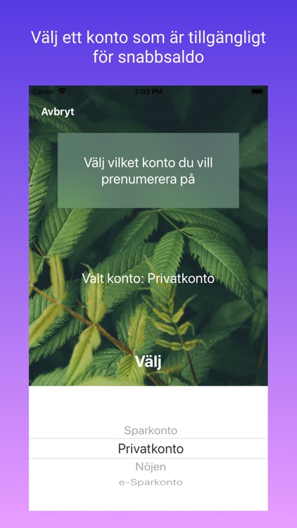 Snabbsaldo - Swedbank Widget screenshot-3