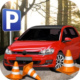 Parking Driving-Car Training