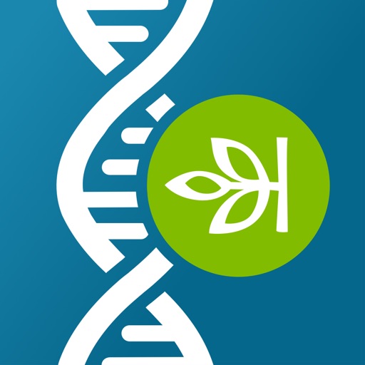 AncestryDNA Icon