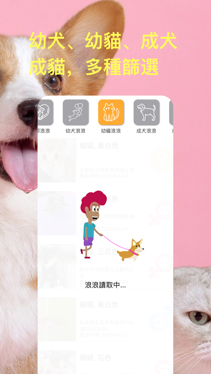 領養浪浪：即時全台流浪毛小孩