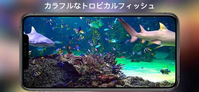 アクアリウムhd をapp Storeで