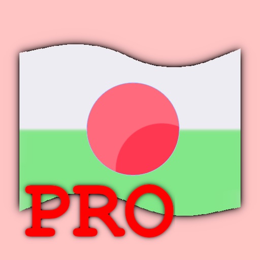 World Flags Pro icon