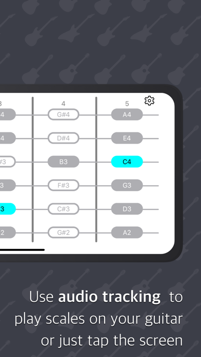 Frets - Practice guitar scales screenshot 2