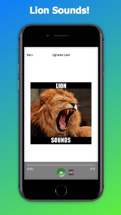 Lion Roar Sound Effect 
