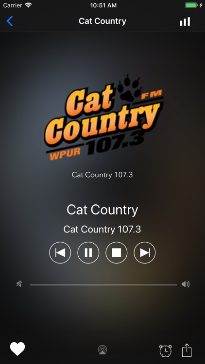Country Radio Music Stations screenshot-5