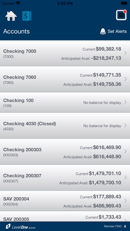 Level One Business Banking screenshot-3