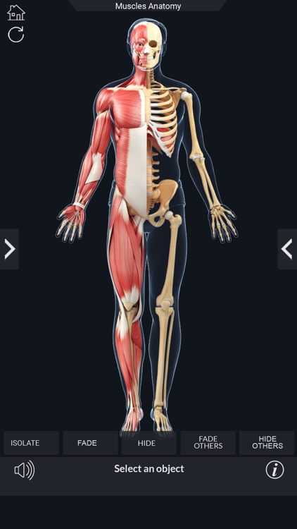 My Muscle Anatomy screenshot-7