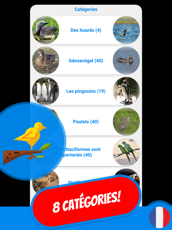 Screenshot #6 pour LES OISEAUX Quiz français
