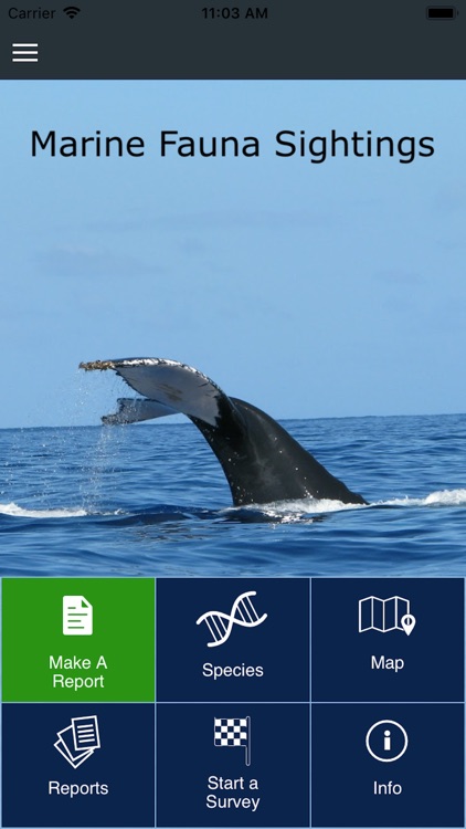 Whale Sightings WA