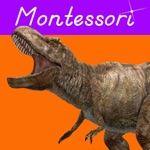 Lets Learn About Dinosaurs