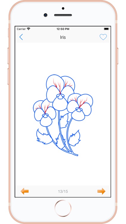 Draw Flowers - Full Version screenshot-9