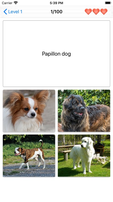 【图】Dog Breeds Quiz – Dog Games(截图2) 【图】Dog Breeds Quiz – Dog Games(截图2)