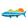 Big Island Fish