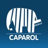 Caparol – Program Partnerski