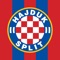 Hajduk Family Club je aplikacija koja korisnicima omogućava pregled prodajnih mjesta i online partnera kod kojih ostvaruju benefite za sebe i /ili za HNK Hajduk