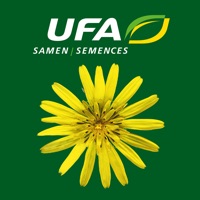  UFA Wildblumen Alternative