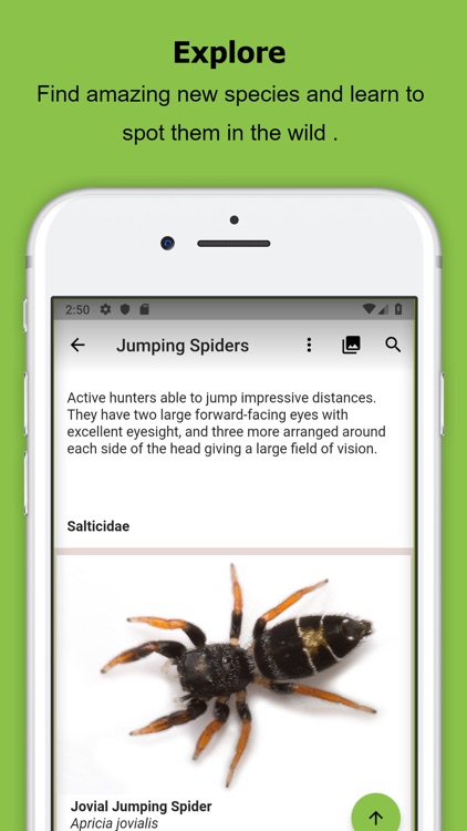 Spidentify screenshot-4