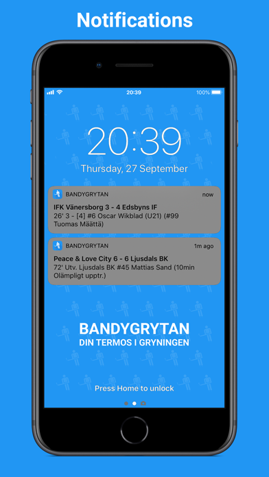 Bandygrytan screenshot 3