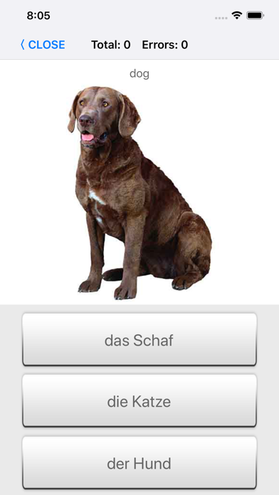 Learn German words with ST screenshot 4