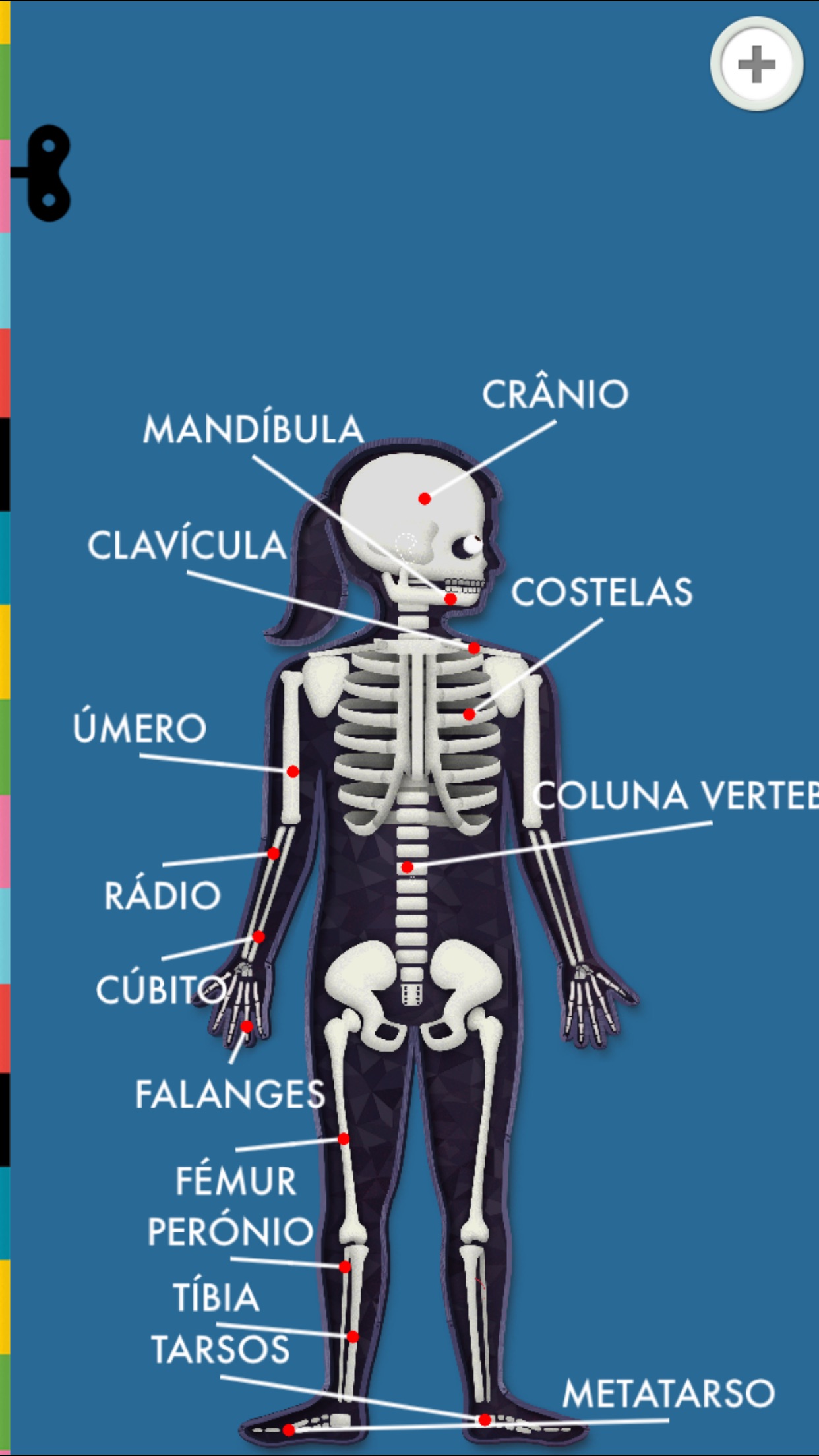 Screenshot do app O Corpo Humano por Tinybop