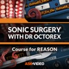 Dr. OctoRex Course For Reason